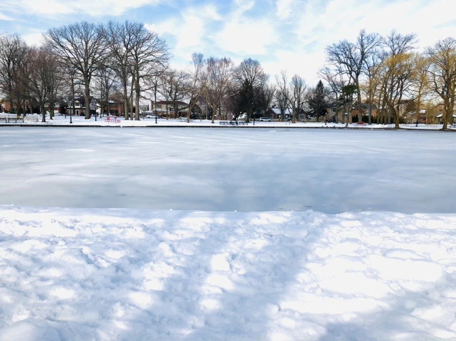 IMG_0125.jpg?type=w966