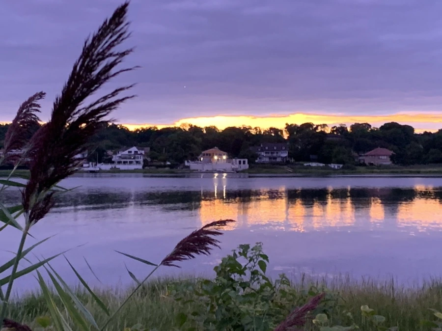 IMG_2278.jpg?type=w966