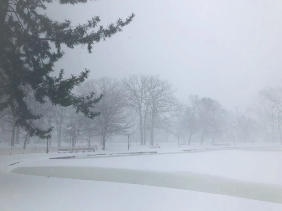 IMG_8819.jpg?type=w966