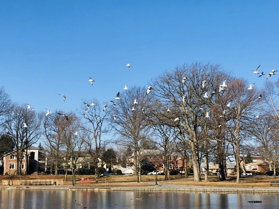 IMG_9169.jpg?type=w966