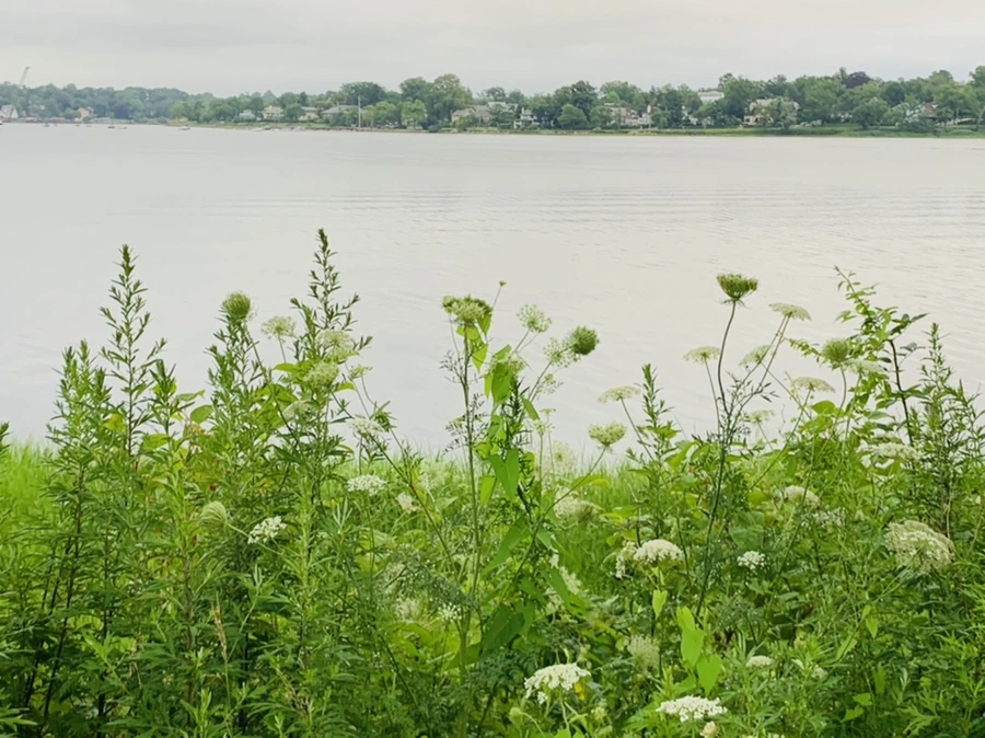 IMG_7103.jpg?type=w966