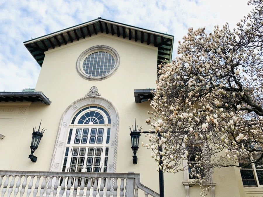 IMG_7211.jpg?type=w966