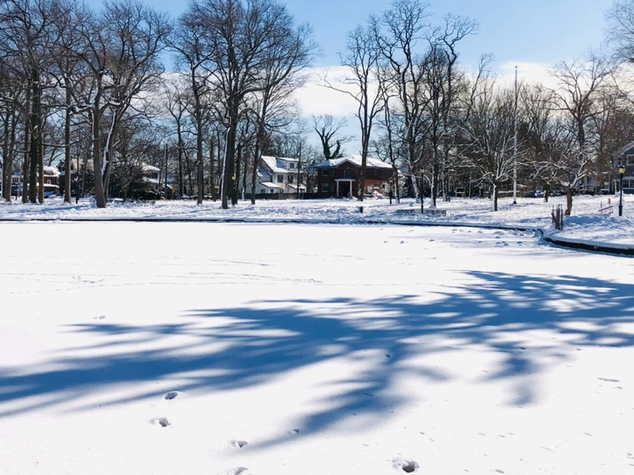 IMG_1344.jpg?type=w966