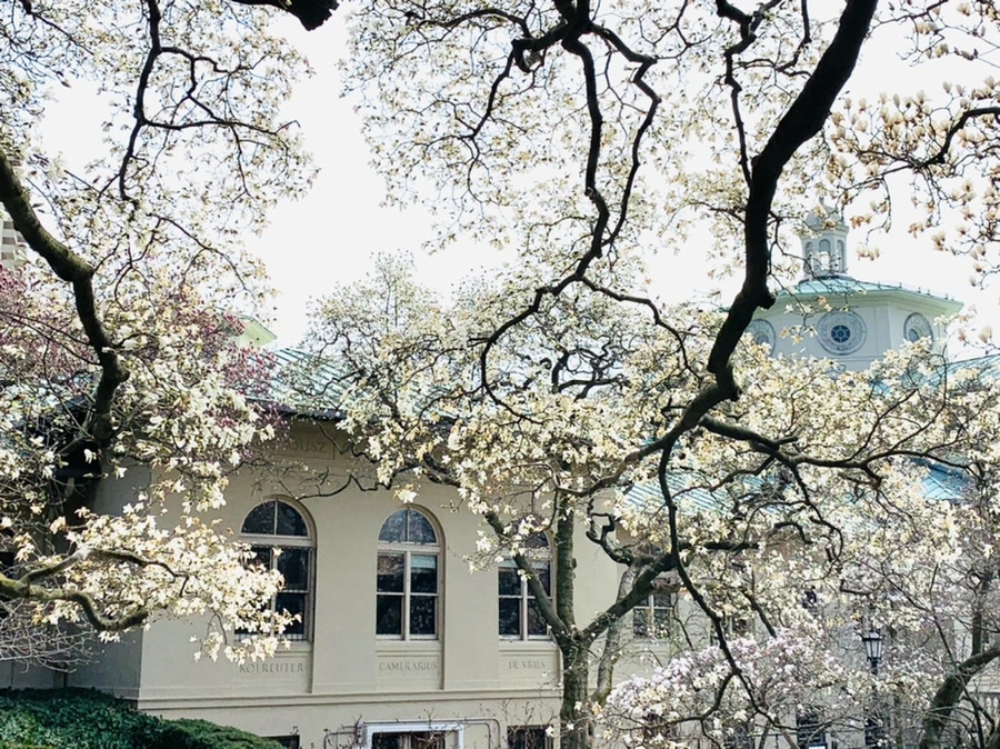 IMG_7297.jpg?type=w966