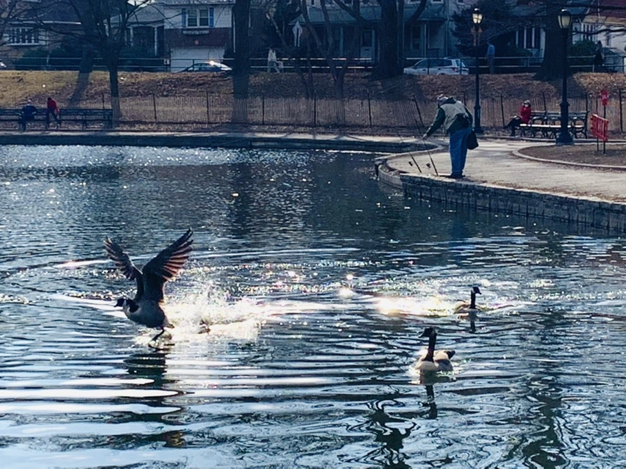 IMG_0361.jpg?type=w966