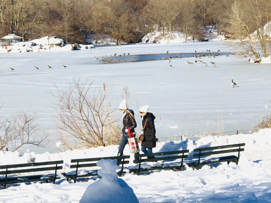 IMG_9820.jpg?type=w966