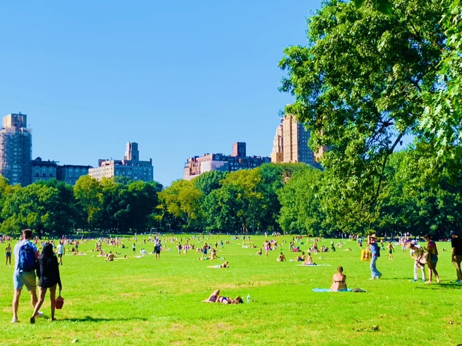 IMG_7615.jpg?type=w966