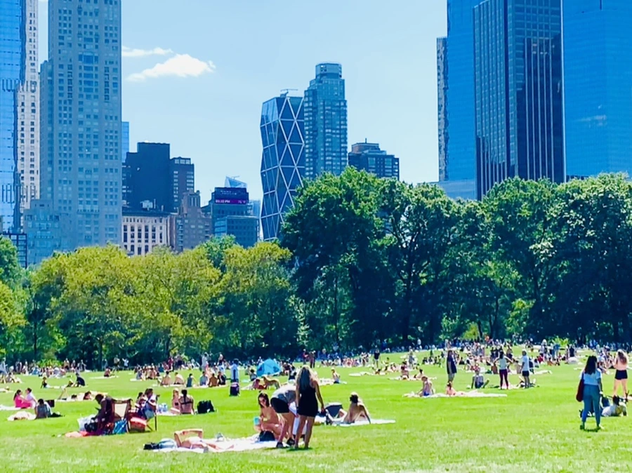 IMG_4408.jpg?type=w966