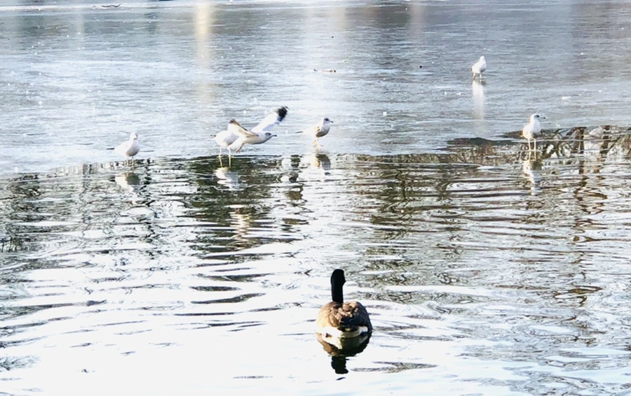 IMG_2691.jpg?type=w966