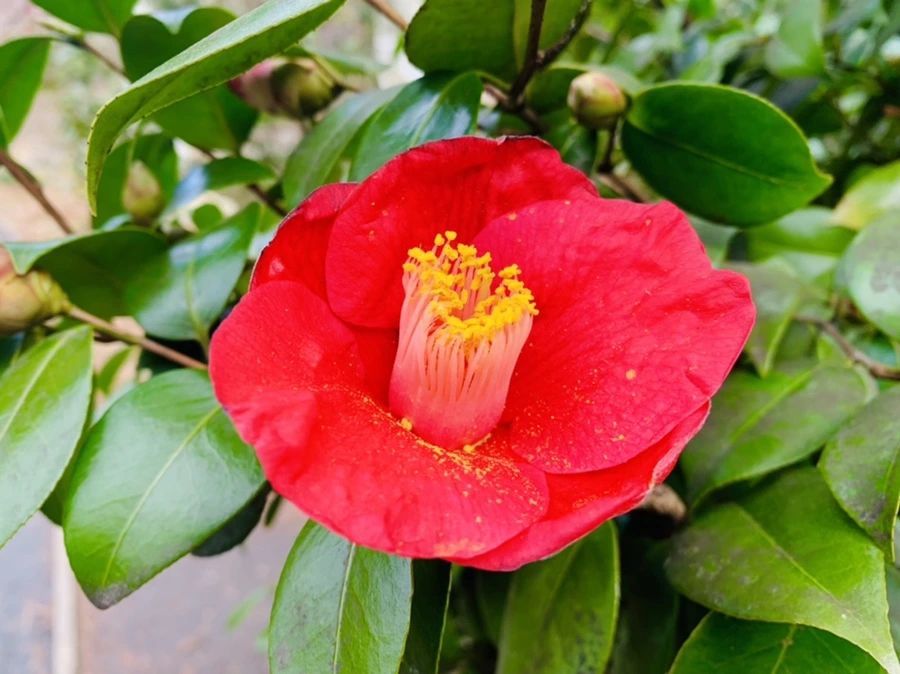 IMG_6440.jpg?type=w966