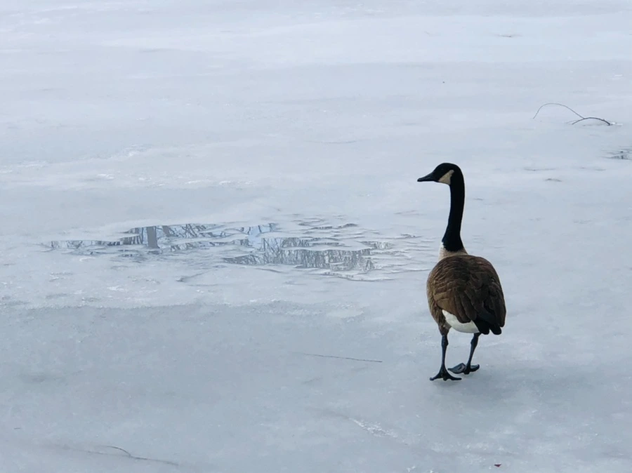 IMG_2925.jpg?type=w966