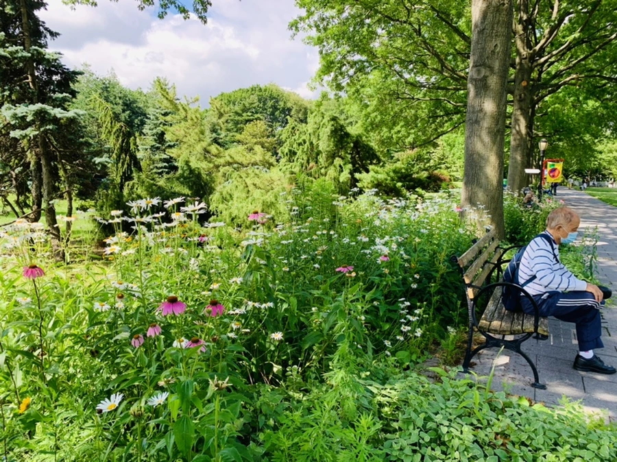 IMG_0607.jpg?type=w966