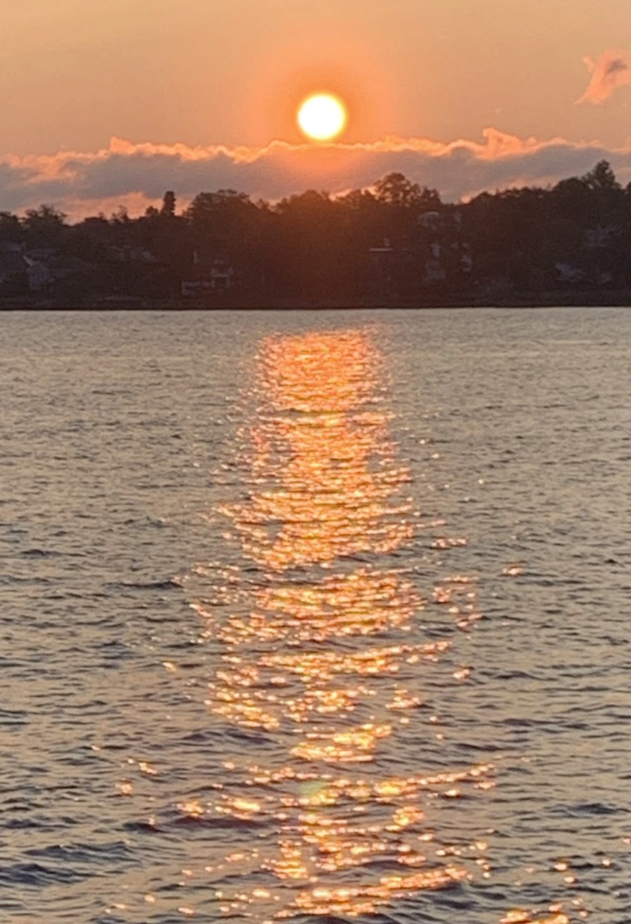 IMG_5492.jpg?type=w966