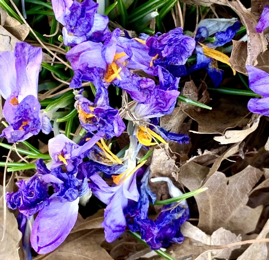 IMG_1511.jpg?type=w966