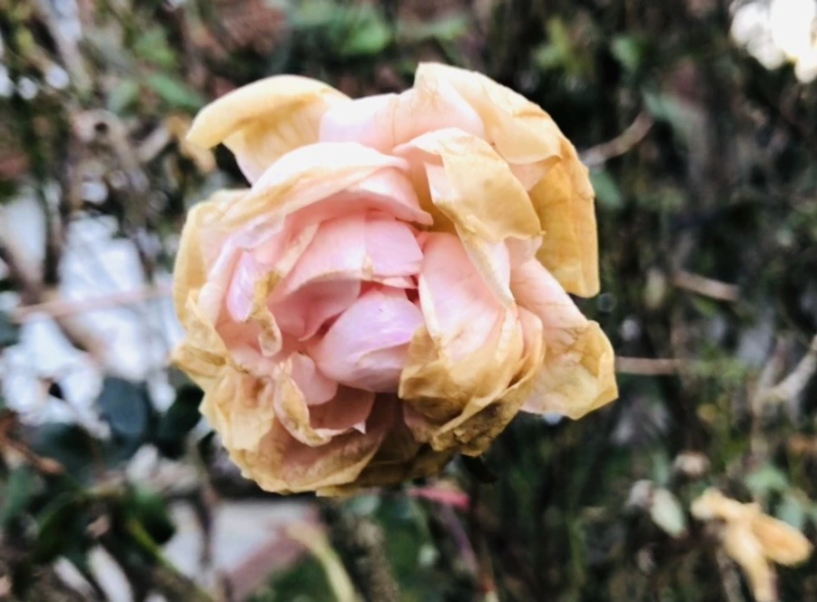 6eAm3_tVvb5783nCl4GMSyj3Tpo