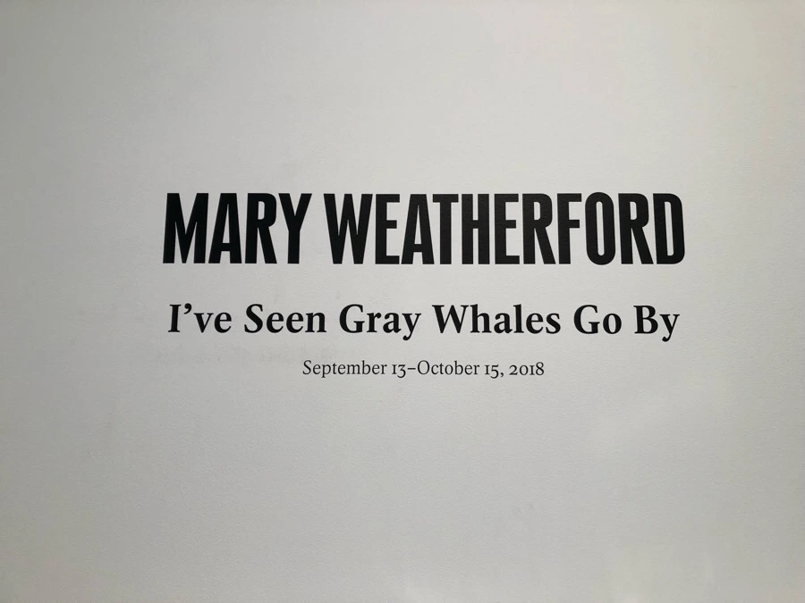 IMG_6725.jpg?type=w966