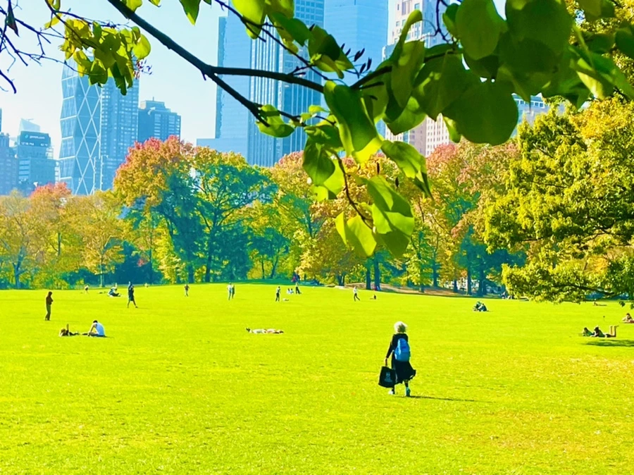 IMG_1688.jpg?type=w966