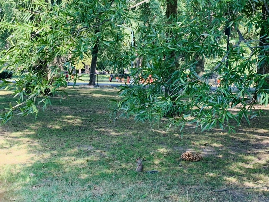 IMG_9674.jpg?type=w966