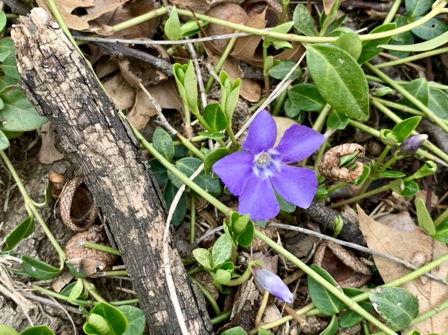 IMG_3443.jpg?type=w966