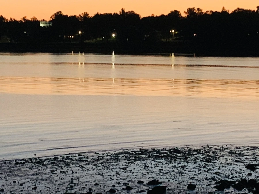 IMG_8481.jpg?type=w966