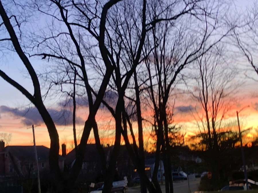 IMG_4616.jpg?type=w966