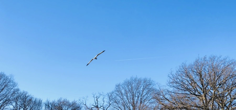 IMG_9270.jpg?type=w966