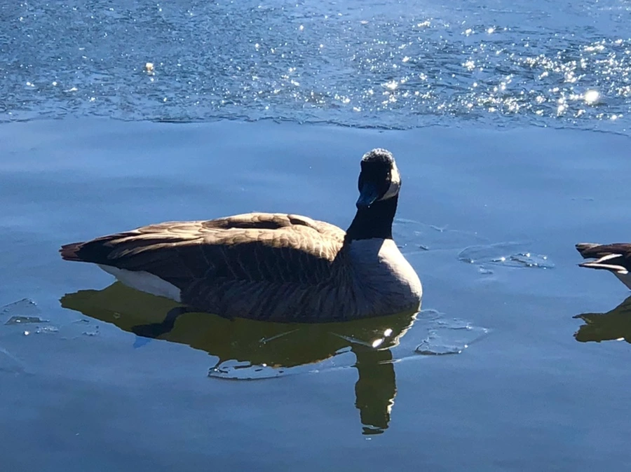 IMG_7768.jpg?type=w966