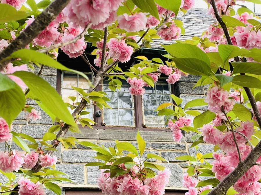 IMG_8980.jpg?type=w966