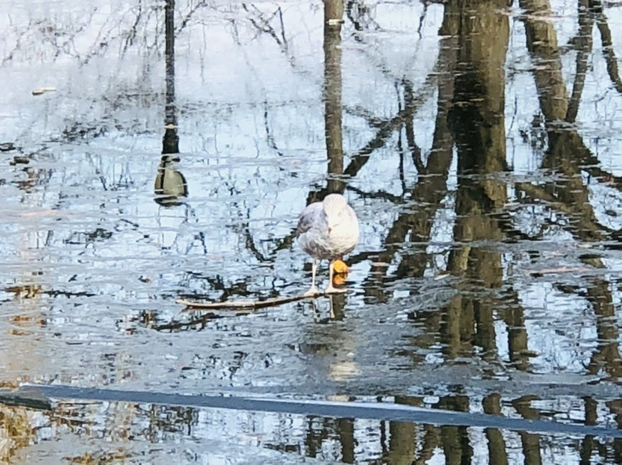 IMG_4690.jpg?type=w966