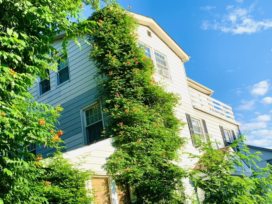 IMG_5195.jpg?type=w966