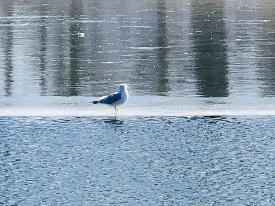 IMG_5583.jpg?type=w966