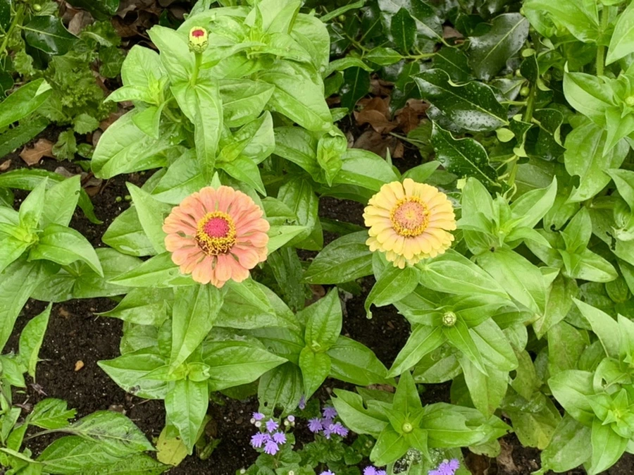 IMG_9553.jpg?type=w966