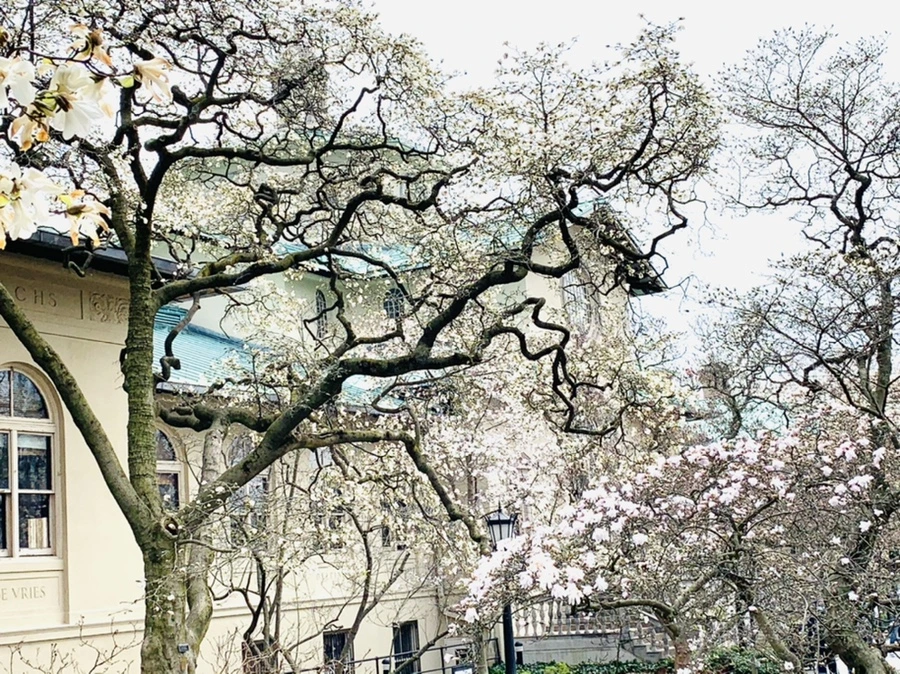 IMG_7141.jpg?type=w966