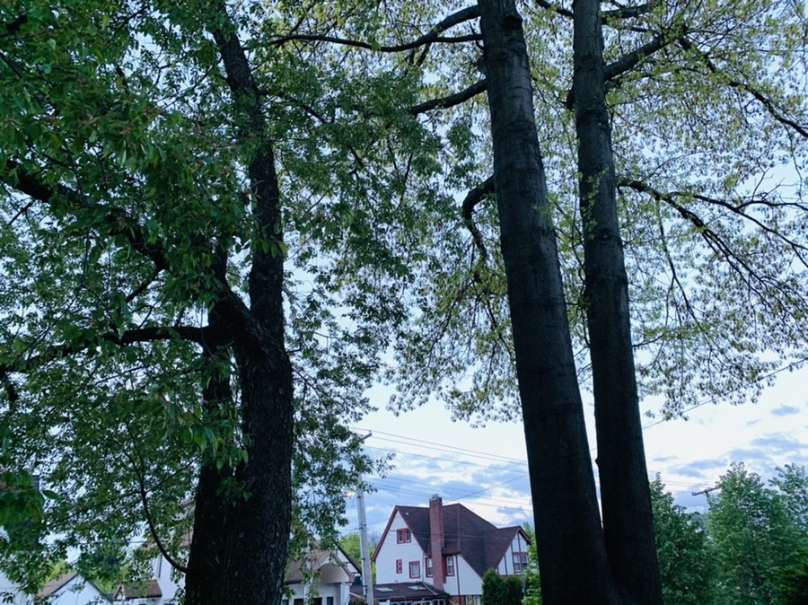 IMG_7496.jpg?type=w966