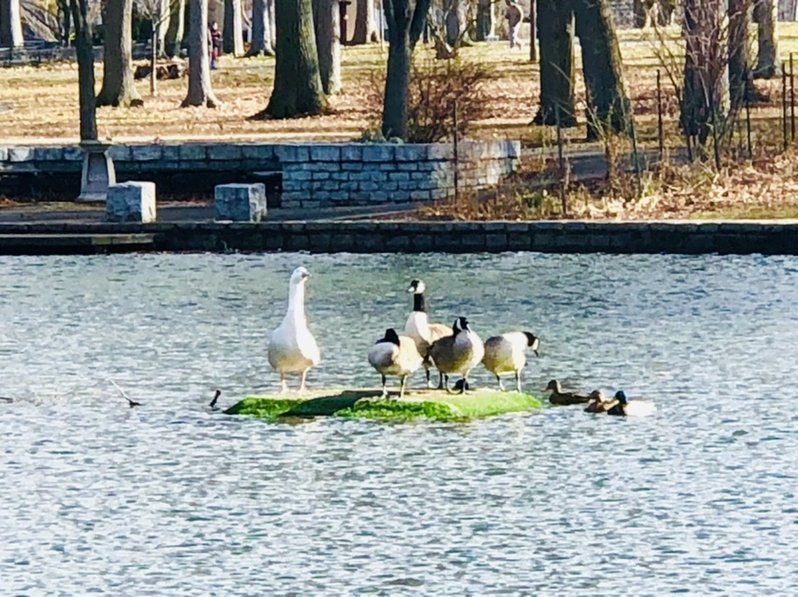 IMG_9232.jpg?type=w966