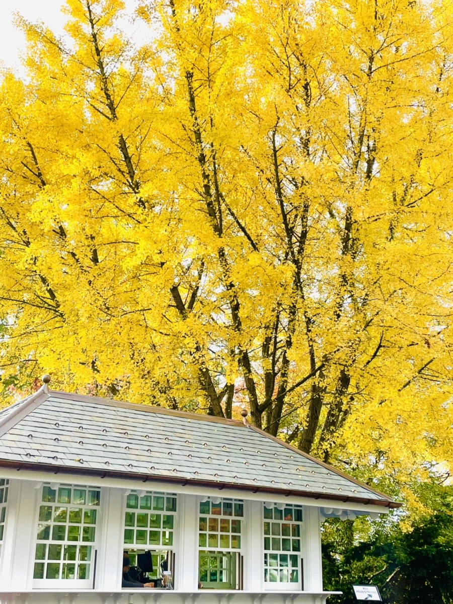 IMG_2437.jpg?type=w966