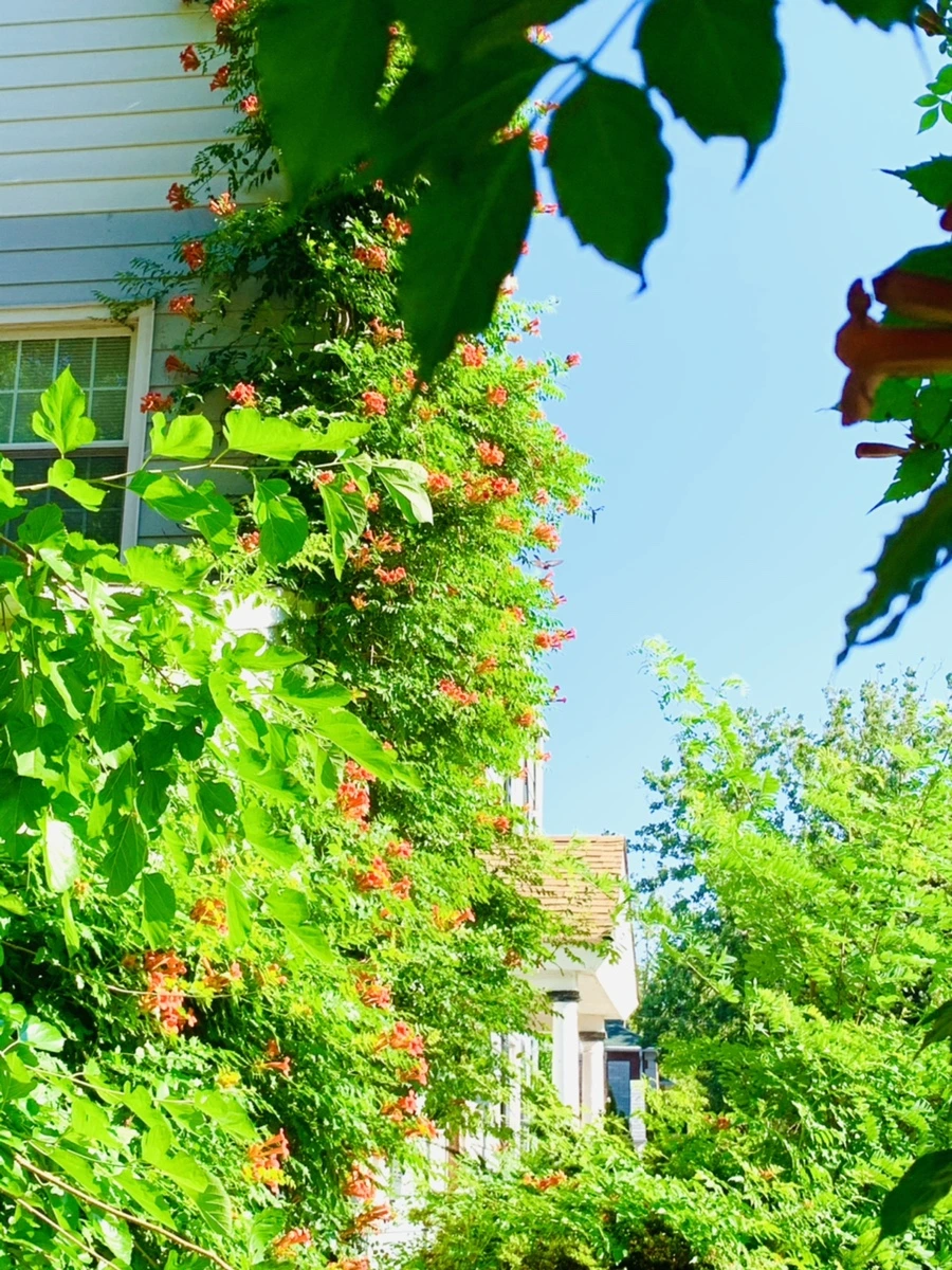 IMG_8708.jpg?type=w966