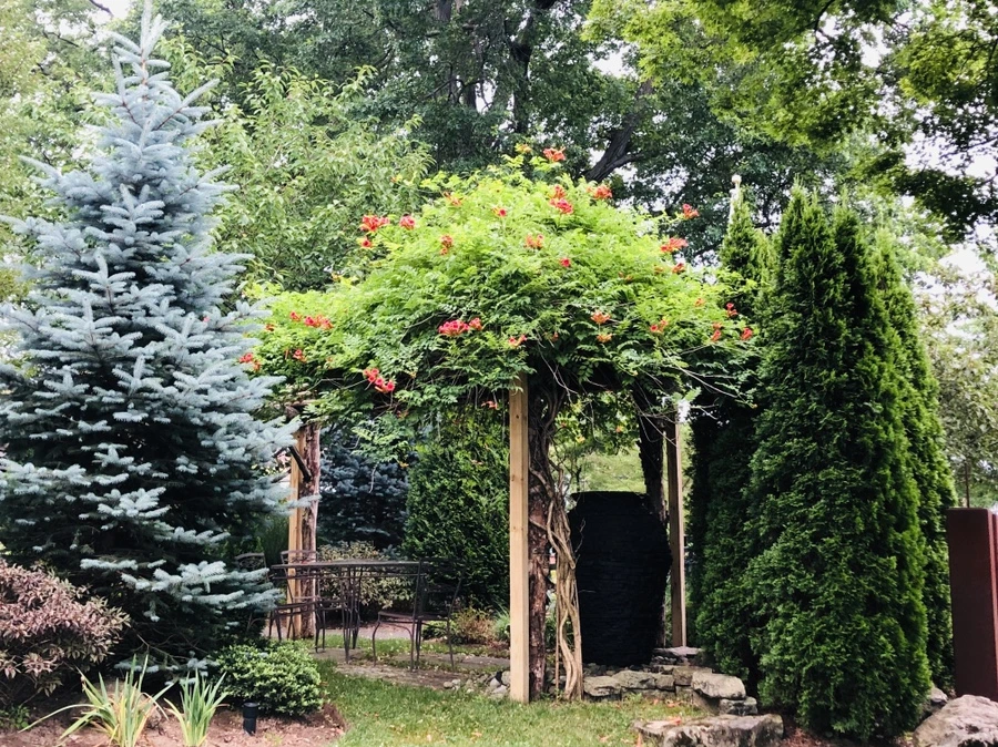 IMG_0861.jpg?type=w966