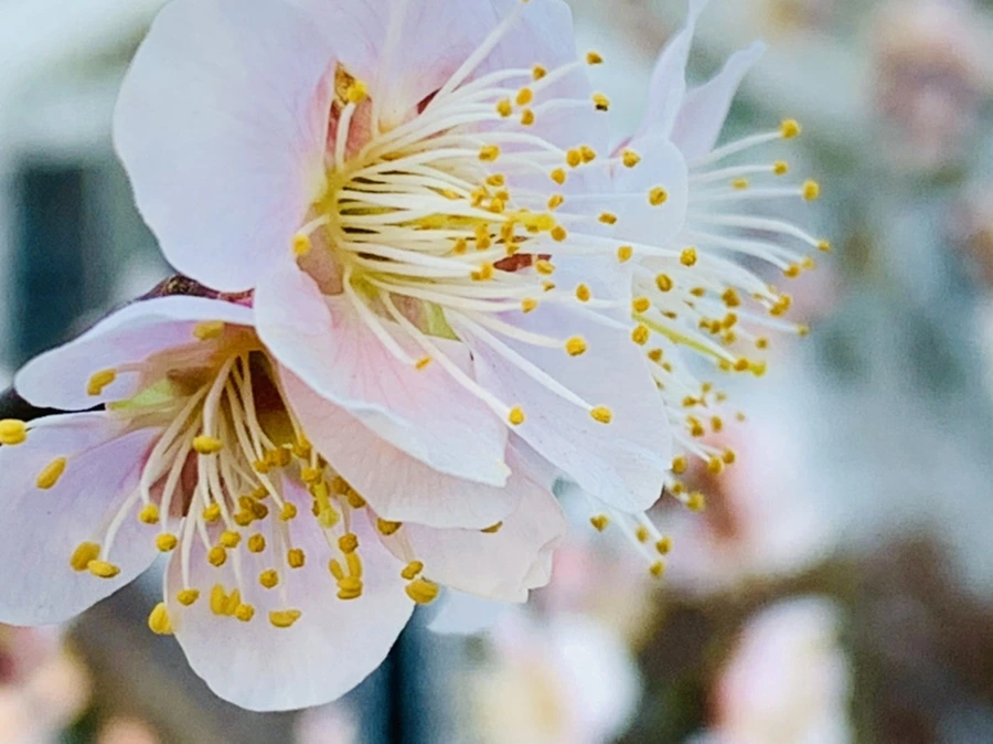 IMG_0897.jpg?type=w966