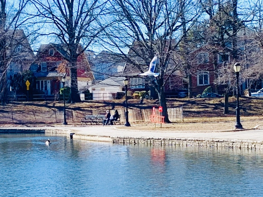 IMG_7642.jpg?type=w966