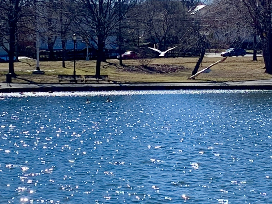 IMG_7584.jpg?type=w966