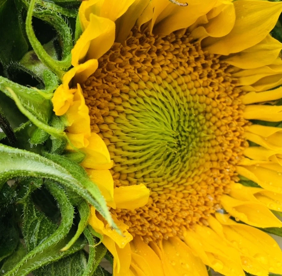 RUx5SidJCdsUEfUx3Za1ryTwkDg