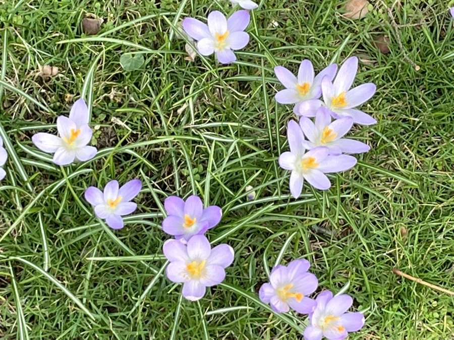 IMG_4073.jpg?type=w966