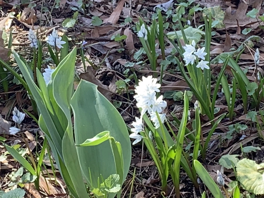 IMG_5786.jpg?type=w966