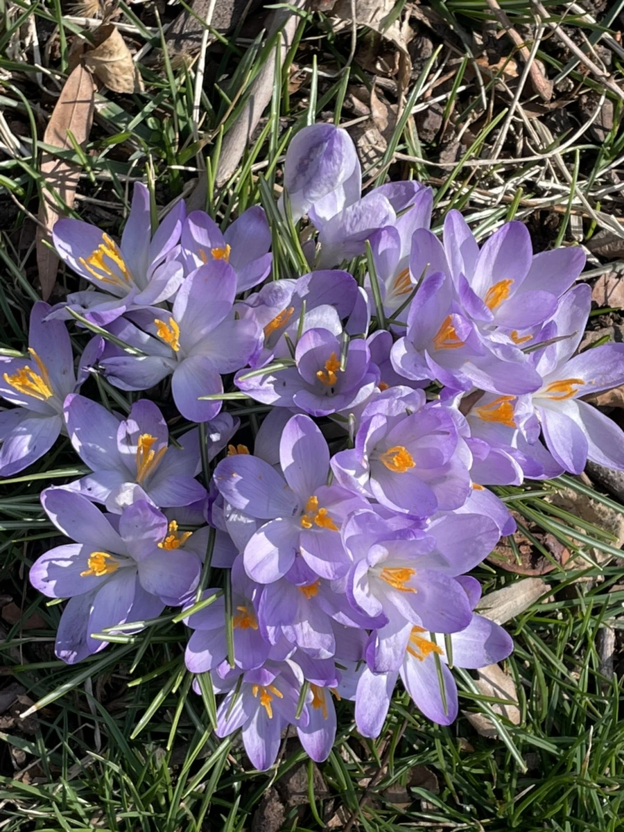 IMG_5345.jpg?type=w966