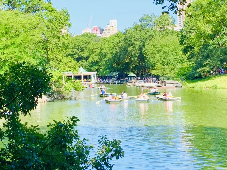 IMG_4493.jpg?type=w966