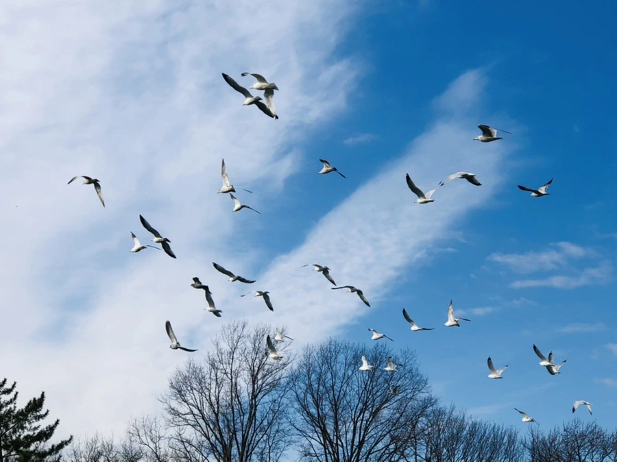 IMG_4709.jpg?type=w966