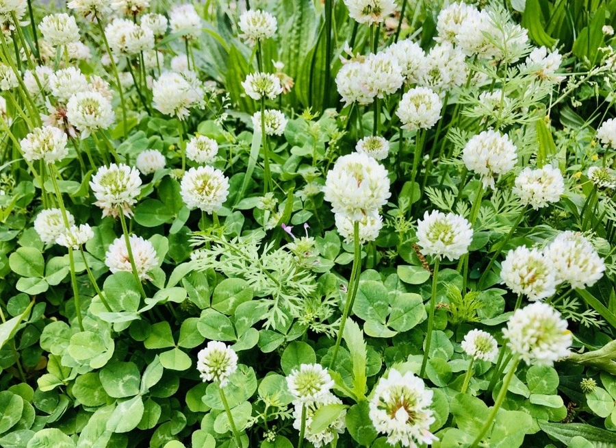 3h0ejkqdn0MQI_0tFVKCDd5X_Ak