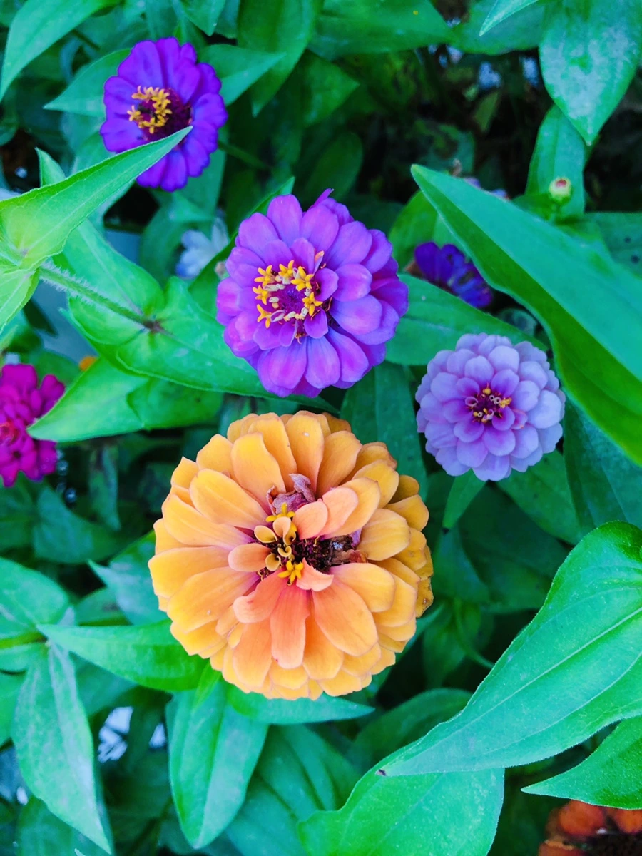 IMG_3638.jpg?type=w966