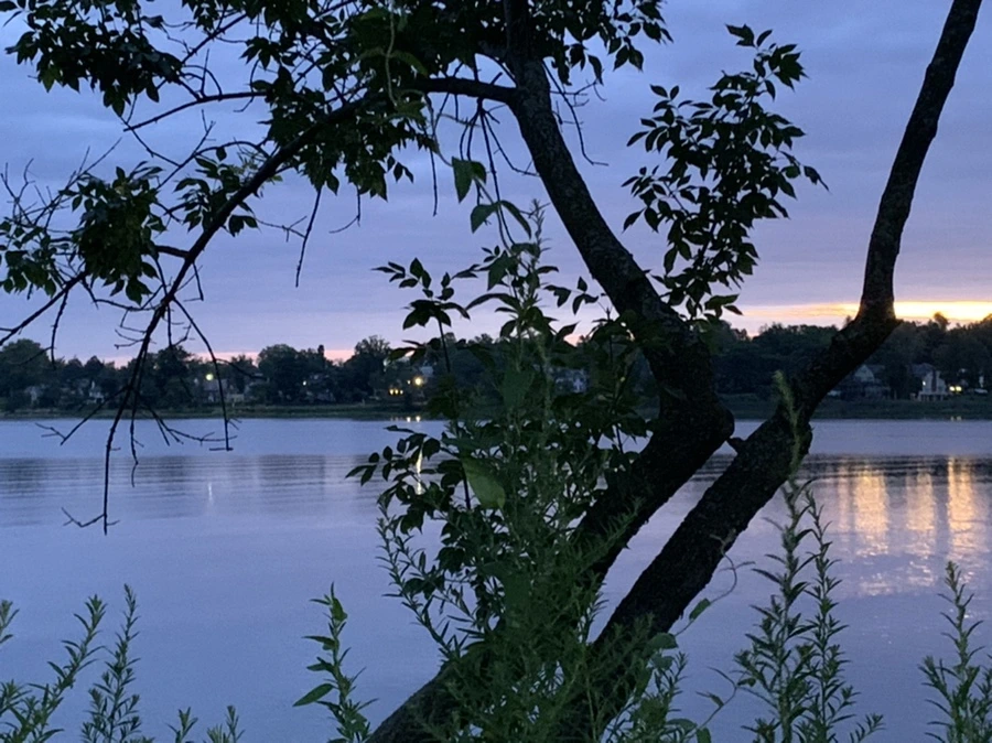 IMG_2252.jpg?type=w966